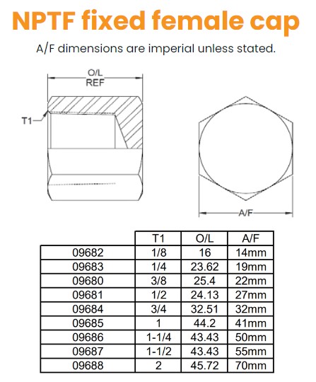 1/8 NPTF Fixed Cap Hydraulic Adaptor